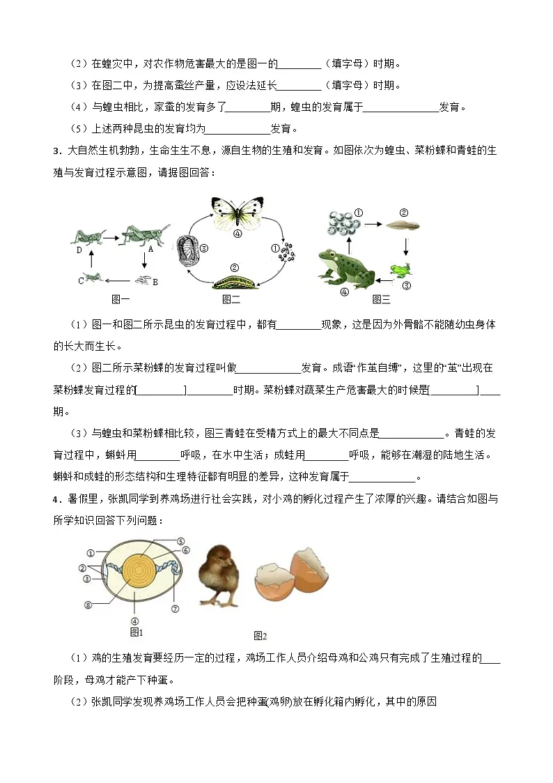 中考生物总复习2024年中考生物读图理解专题复习:生物的生殖与发育(含答案)练习第2页