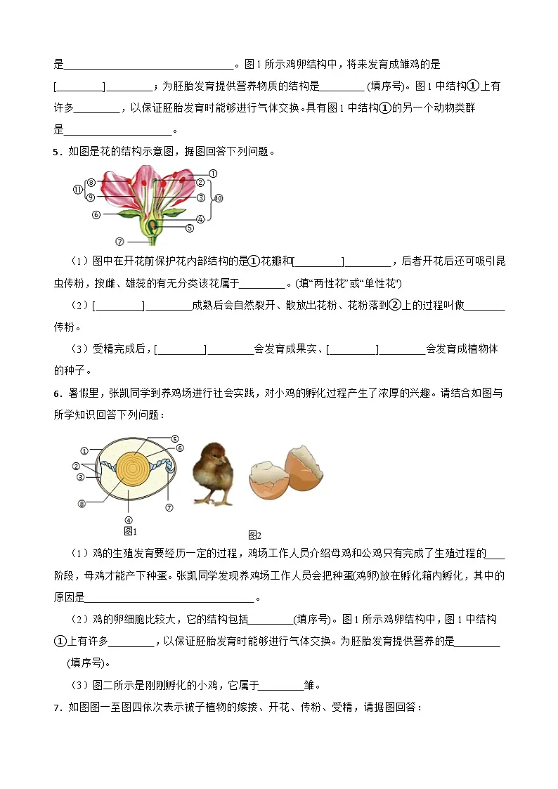 中考生物总复习2024年中考生物读图理解专题复习:生物的生殖与发育(含答案)练习第3页