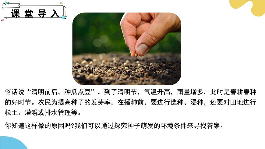 蘇科版生物七年級(jí)下冊(cè) —第十一章 植物的生命周期 第1節(jié) 種子的萌發(fā)（第2課時(shí)）PPT課件第4頁(yè)