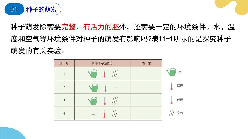 蘇科版生物七年級(jí)下冊(cè) —第十一章 植物的生命周期 第1節(jié) 種子的萌發(fā)（第2課時(shí)）PPT課件第5頁(yè)