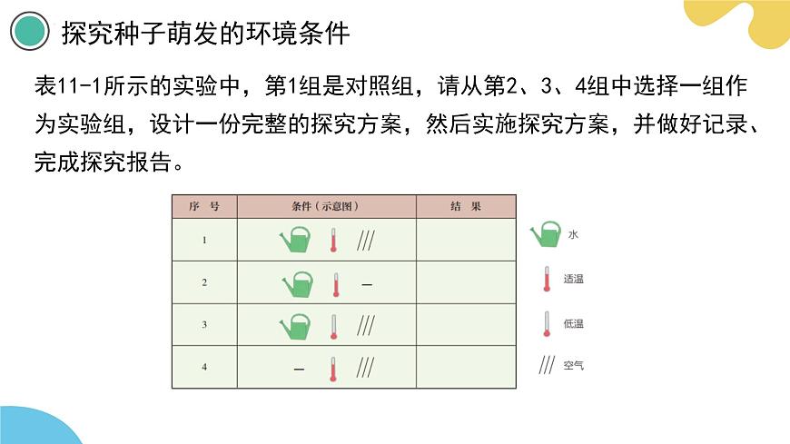 蘇科版生物七年級(jí)下冊(cè) —第十一章 植物的生命周期 第1節(jié) 種子的萌發(fā)（第2課時(shí)）PPT課件第7頁(yè)