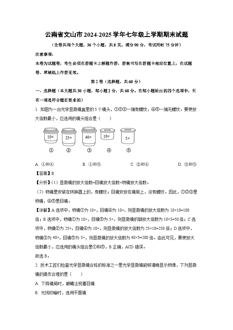 云南省文山市2024-2025学年七年级(上)期末生物试卷(解析版)第1页