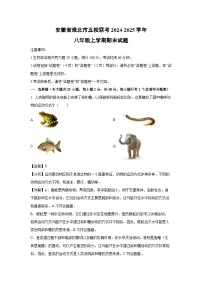 安徽省淮北市五校联考2024-2025学年八年级(上)期末生物试卷（解析版）