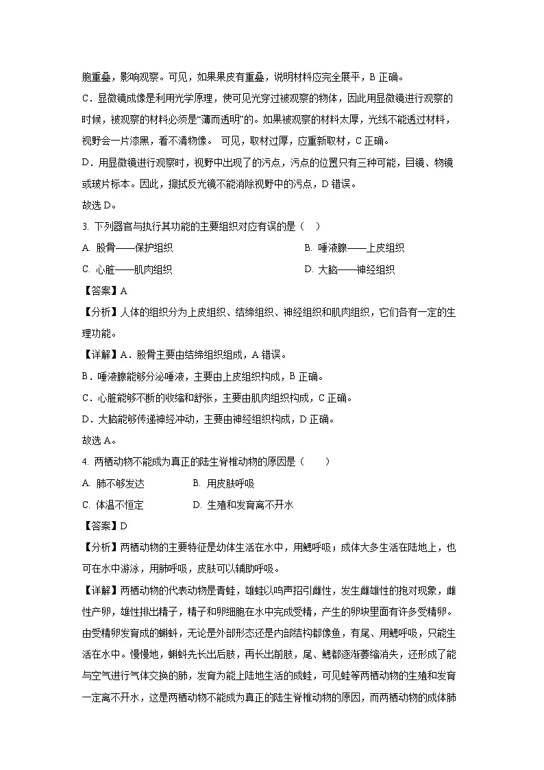 山东省聊城市临清市2024-2025学年七年级上学期期末生物生物试卷(解析版)第2页