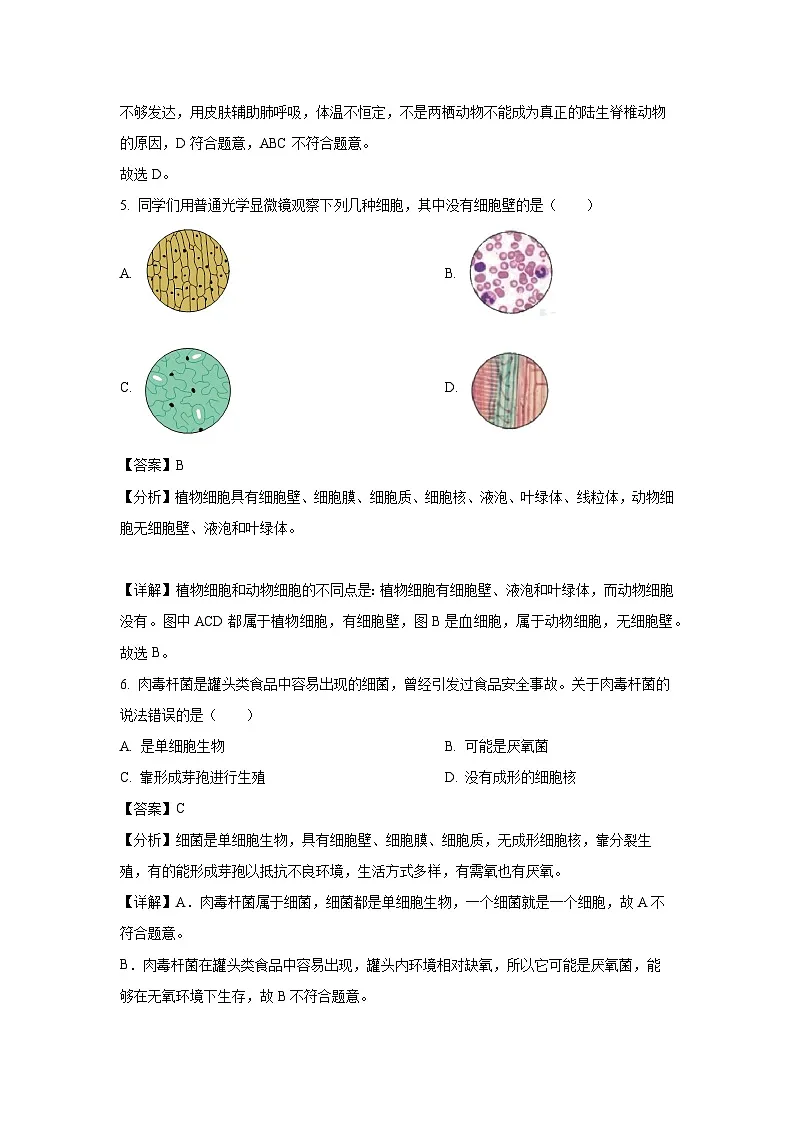 山东省聊城市临清市2024-2025学年七年级上学期期末生物生物试卷(解析版)第3页