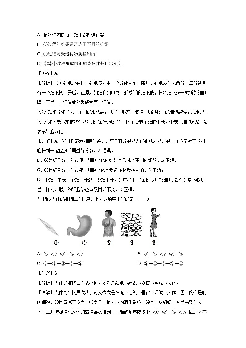 山西省長治市2024~2025學年七年級上學期期末生物試卷（解析版）第2頁