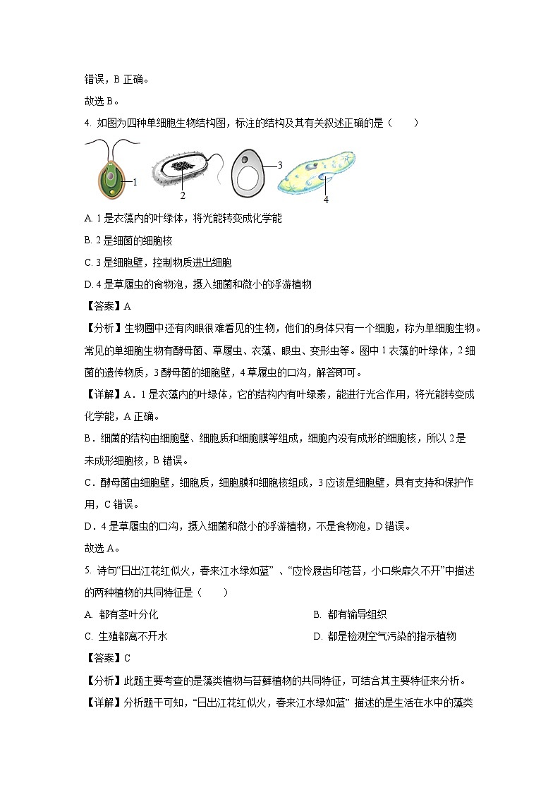 山西省長治市2024~2025學年七年級上學期期末生物試卷（解析版）第3頁