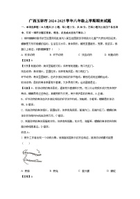 廣西玉林市2024-2025學(xué)年八年級(上)期末生物試卷（解析版）