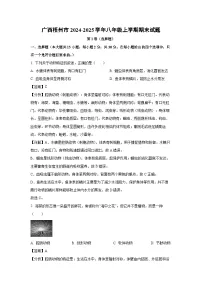 广西梧州市2024-2025学年八年级(上)期末生物试卷（解析版）