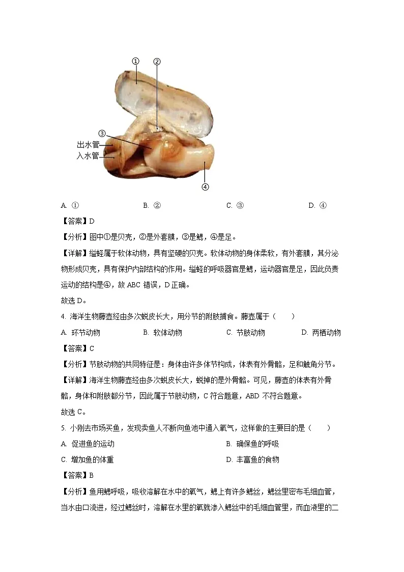 广西柳州市2024-2025学年八年级(上)期末生物试卷(解析版)第2页