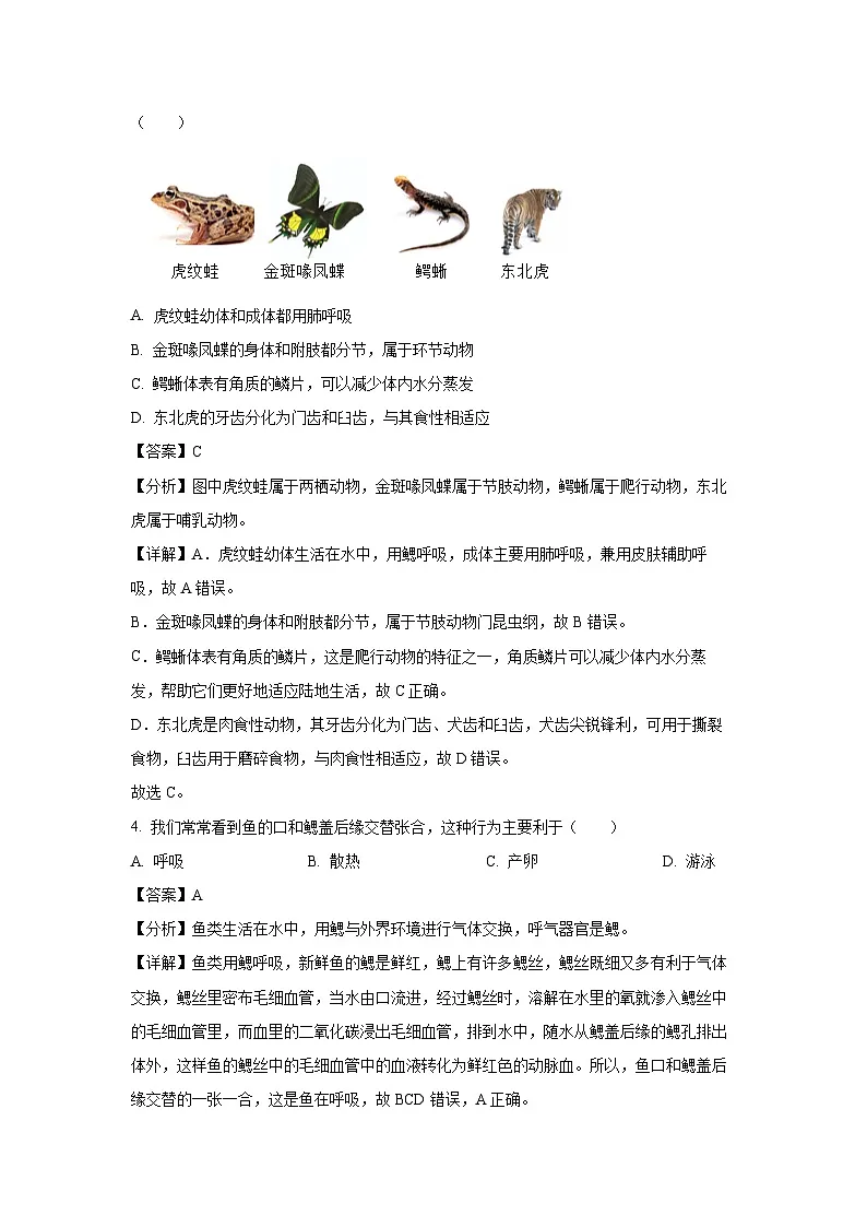 广西南宁市2024~2025学年八年级(上)期末生物试卷(解析版)第2页