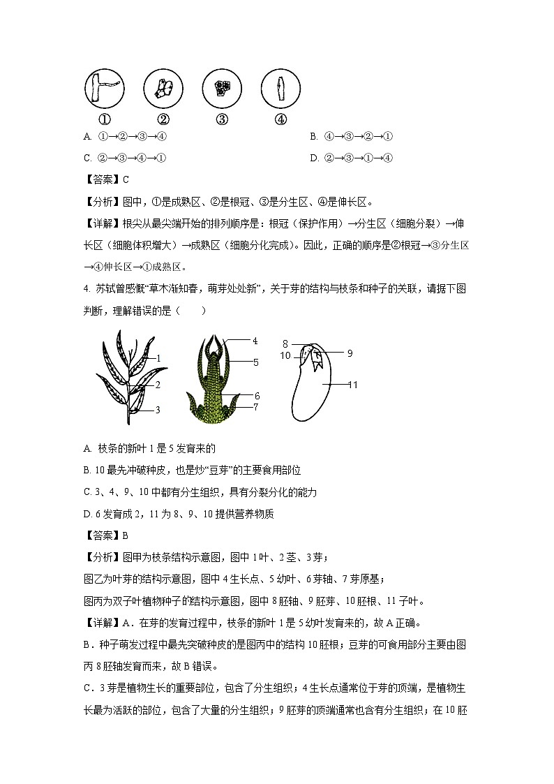 河北省石家庄市新华区2024-2025学年八年级(上)期末生物试卷(解析版)第3页