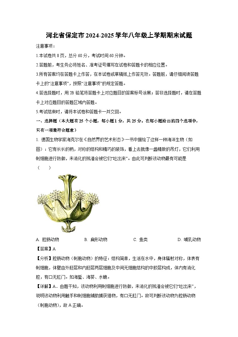 河北省保定市2024-2025学年八年级(上)期末生物试卷(解析版)第1页