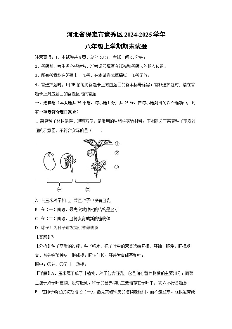 河北省保定市竞秀区2024-2025学年八年级(上)期末生物试卷(解析版)第1页