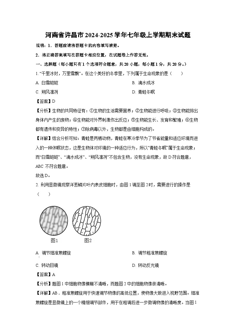 河南省许昌市2024-2025学年七年级(上)期末生物试卷(解析版)第1页