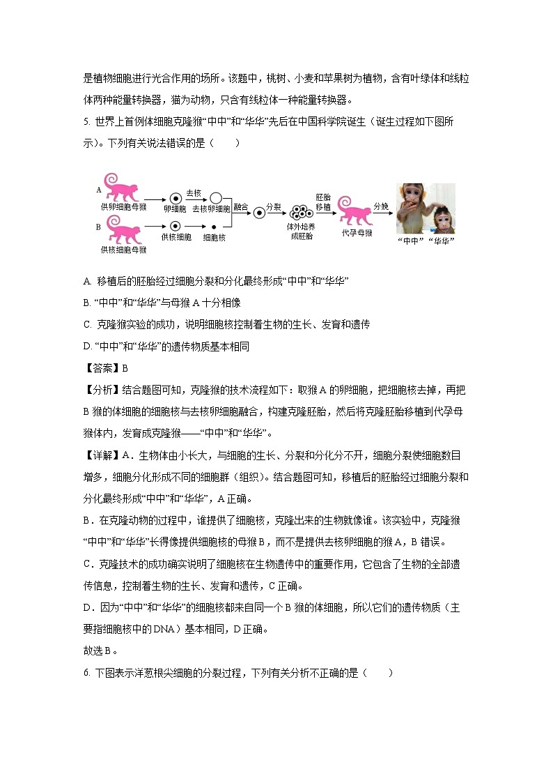 河南省许昌市2024-2025学年七年级(上)期末生物试卷(解析版)第3页