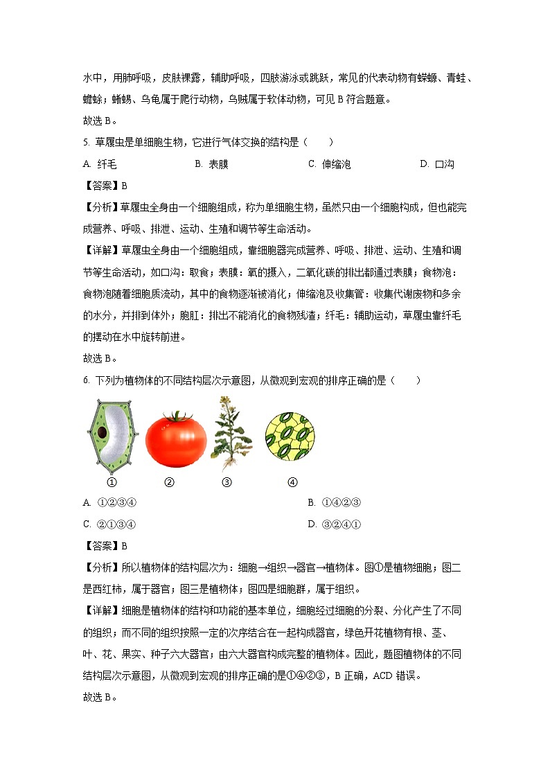 河南省南阳市内乡县2024-2025学年七年级上学期期末生物生物试卷(解析版)第3页