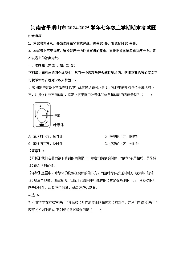 河南省平顶山市2024-2025学年七年级(上)期末考生物试卷(解析版)第1页