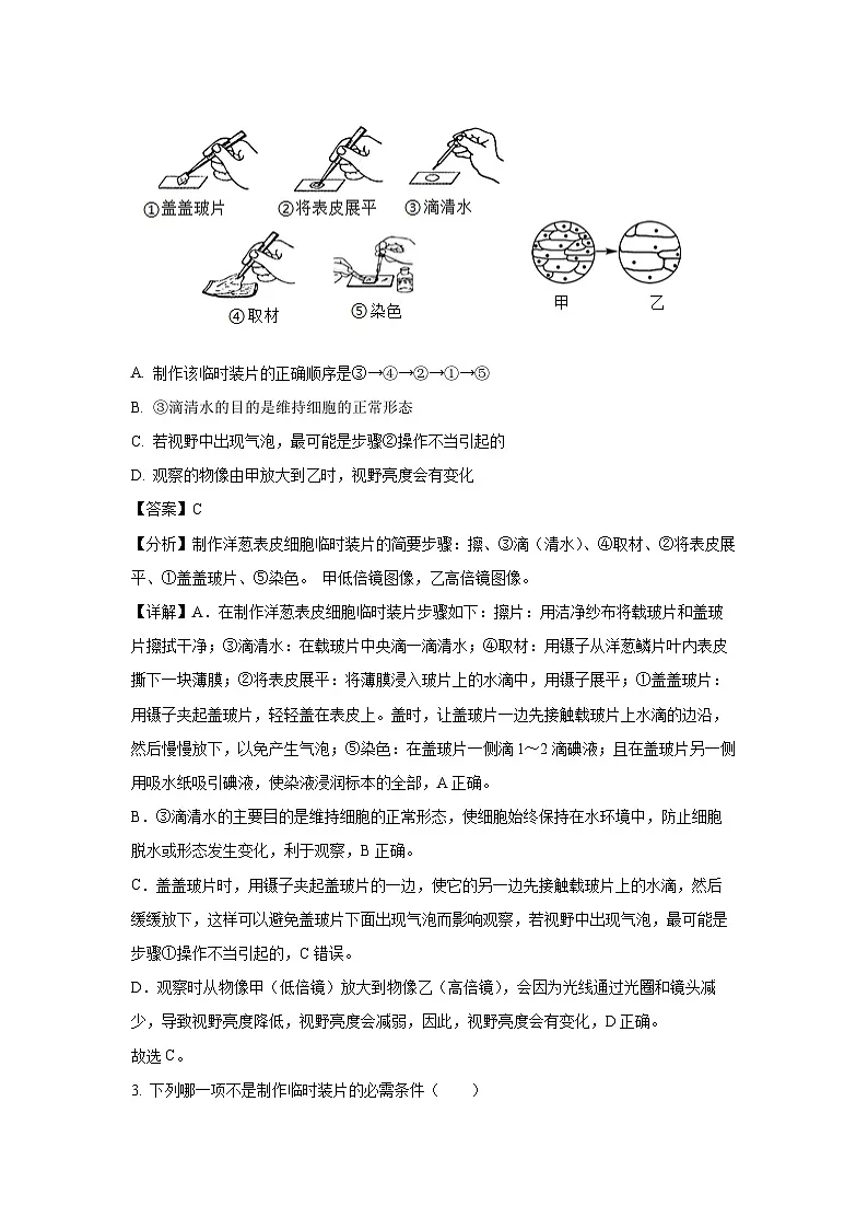 河南省平顶山市2024-2025学年七年级(上)期末考生物试卷(解析版)第2页
