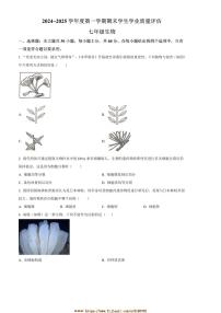 2024～2025学年广东省汕头市龙湖区七年级上期末生物试卷(含答案)