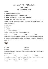 新疆哈密市伊州区2024-2025学年八年级上学期期末生物试题（原卷版+解析版）