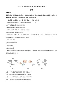 湖南省娄底市冷水江市2024-2025学年七年级上学期期末生物试题（原卷版+解析版）