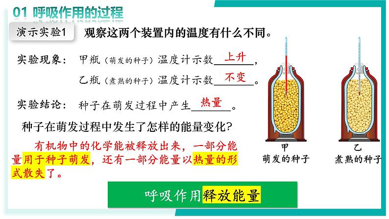 3.2.3 呼吸作用 - 初中生物七年级下册 同步教学课件(人教版2024)第6页