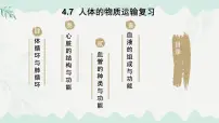 北师大版（2024）七年级下册（2024）本章复习与测试复习课件ppt