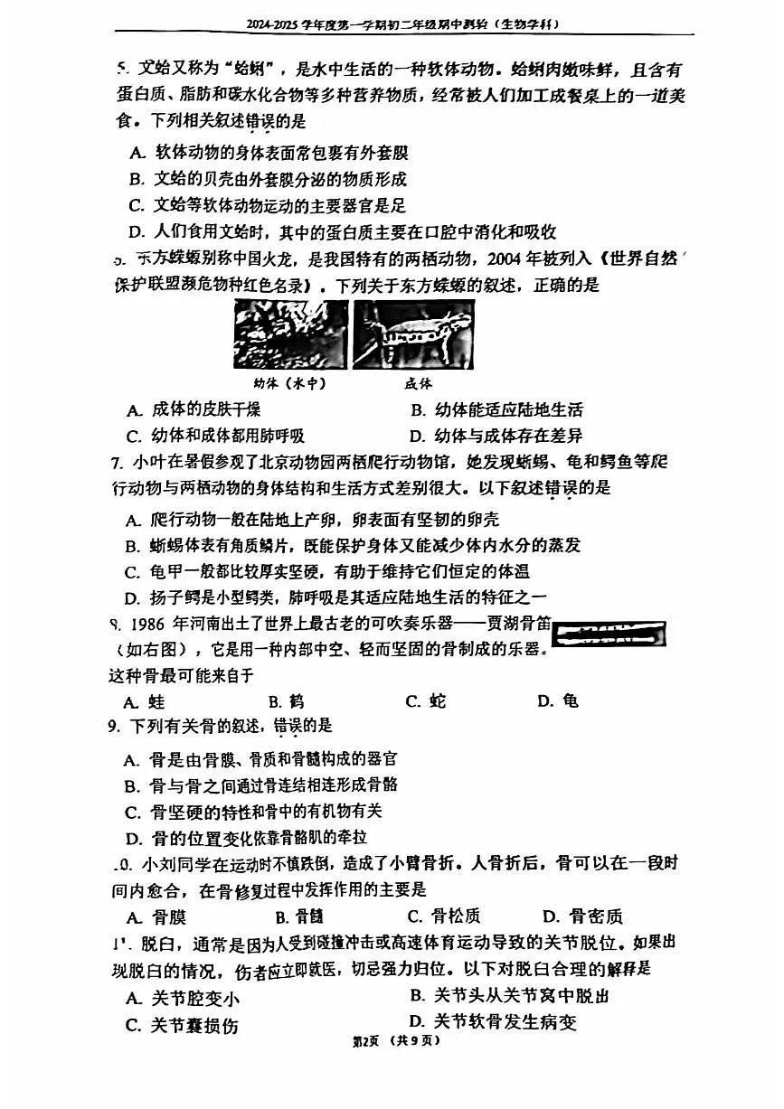 2024北京四中初二(上)期中生物试卷(无答案)第2页