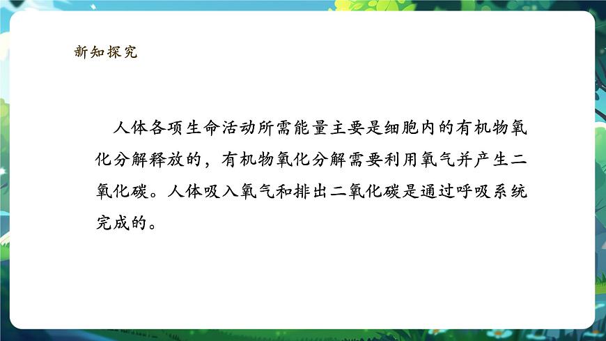 【大單元】北師大版生物七下 4.8.2.1人體細(xì)胞獲得氧氣的過程（第1課時(shí)） 課件(共26張PPT)第5頁