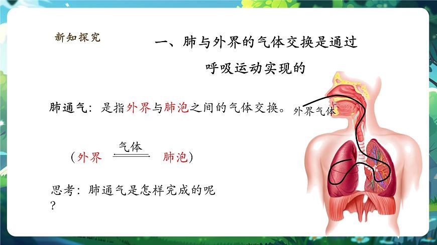 【大單元】北師大版生物七下 4.8.2.2人體細(xì)胞獲得氧氣的過程（第2課時） 課件(共27張PPT)第6頁
