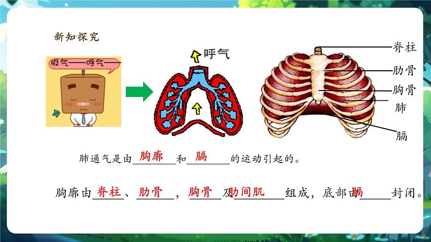 【大單元】北師大版生物七下 4.8.2.2人體細(xì)胞獲得氧氣的過程（第2課時） 課件(共27張PPT)第8頁