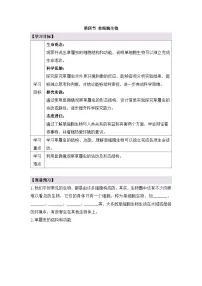 生物七年级上册（2024）第四节 单细胞生物学案设计
