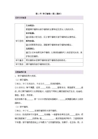 生物七年级上册（2024）第二节 种子植物第二课时学案设计