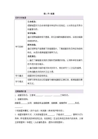 初中人教版（2024）第二单元 多种多样的生物第三章 微生物第二节 细菌学案设计