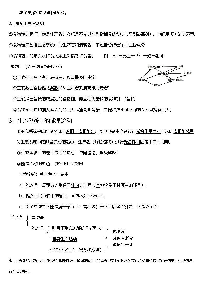 苏教版(2024)七年级下册生物期末知识点复习提纲 学案第2页