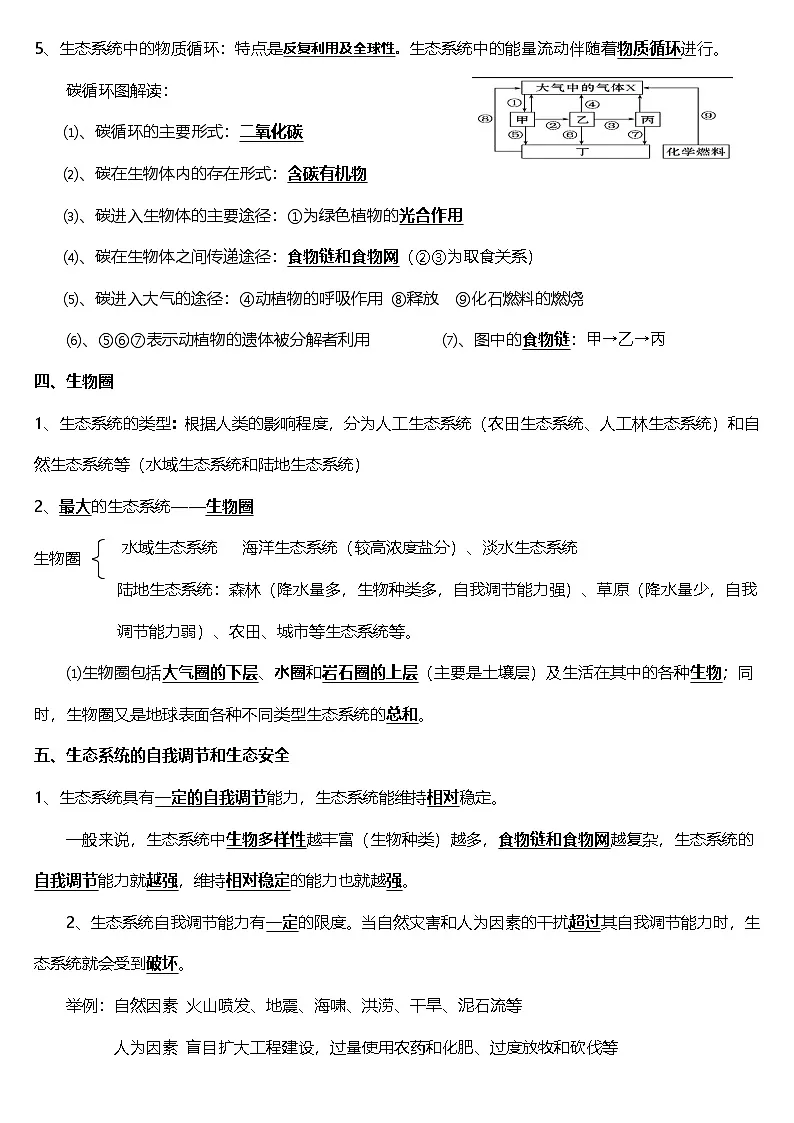 苏教版(2024)七年级下册生物期末知识点复习提纲 学案第3页