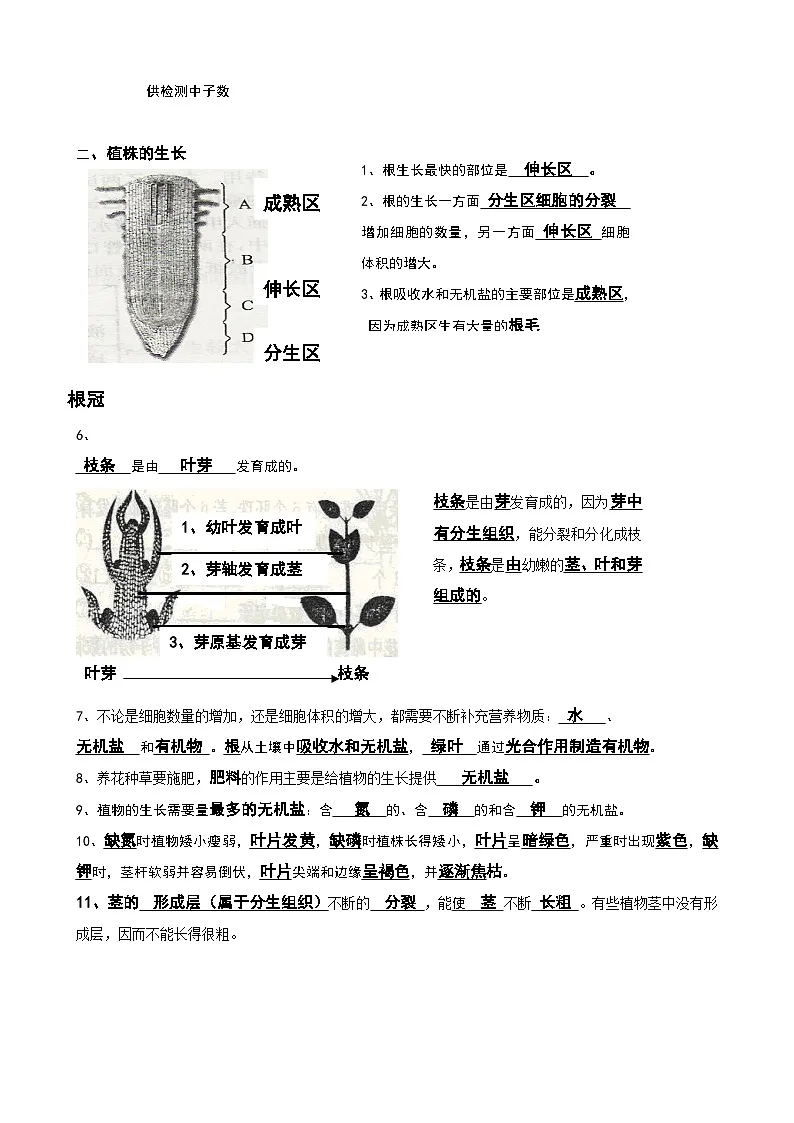 人教版(2024)七年级下册生物期中复习必背知识点提纲 学案第2页
