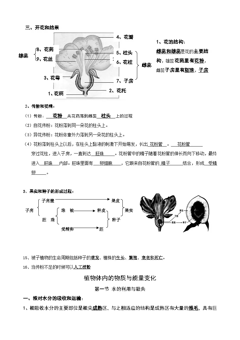 人教版(2024)七年级下册生物期中复习必背知识点提纲 学案第3页