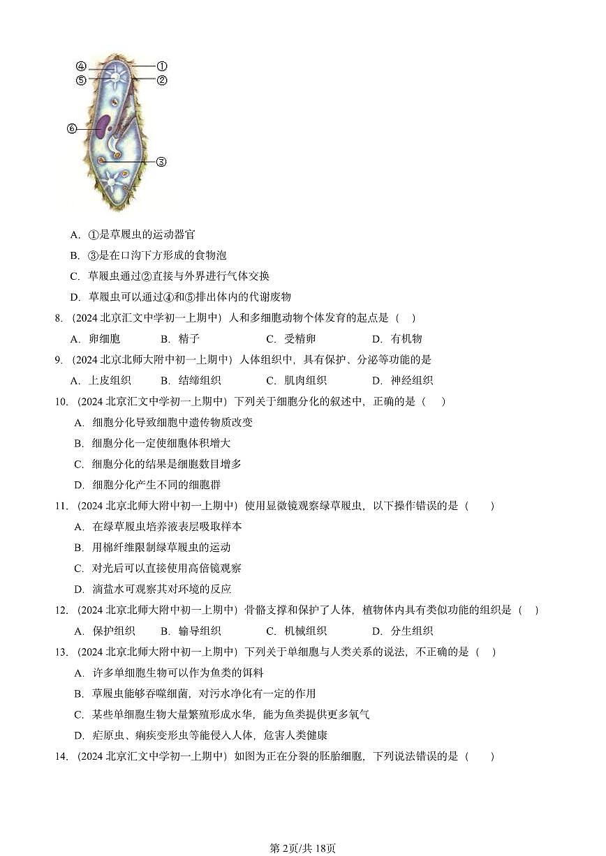 2024北京重点校初一(上)期中真题生物汇编:细胞怎样构成生物体章节综合第2页