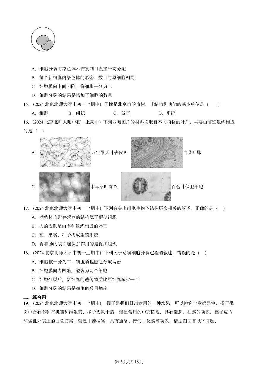 2024北京重点校初一(上)期中真题生物汇编:细胞怎样构成生物体章节综合第3页