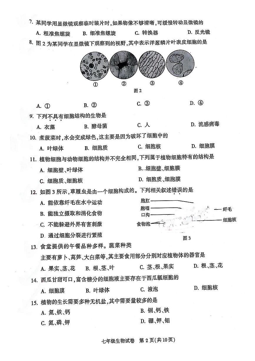 2025北京顺义初一(上)期末生物试卷(无答案)第2页