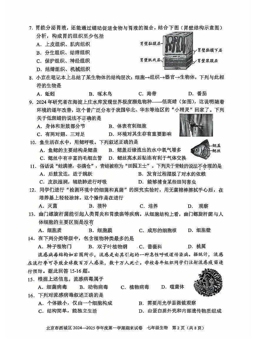 2025北京西城初一(上)期末生物试卷(有答案)第2页