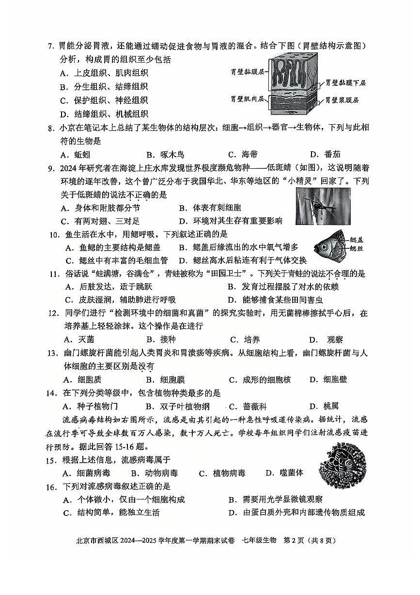 2025北京西城初一(上)期末生物试卷(有答案)第2页