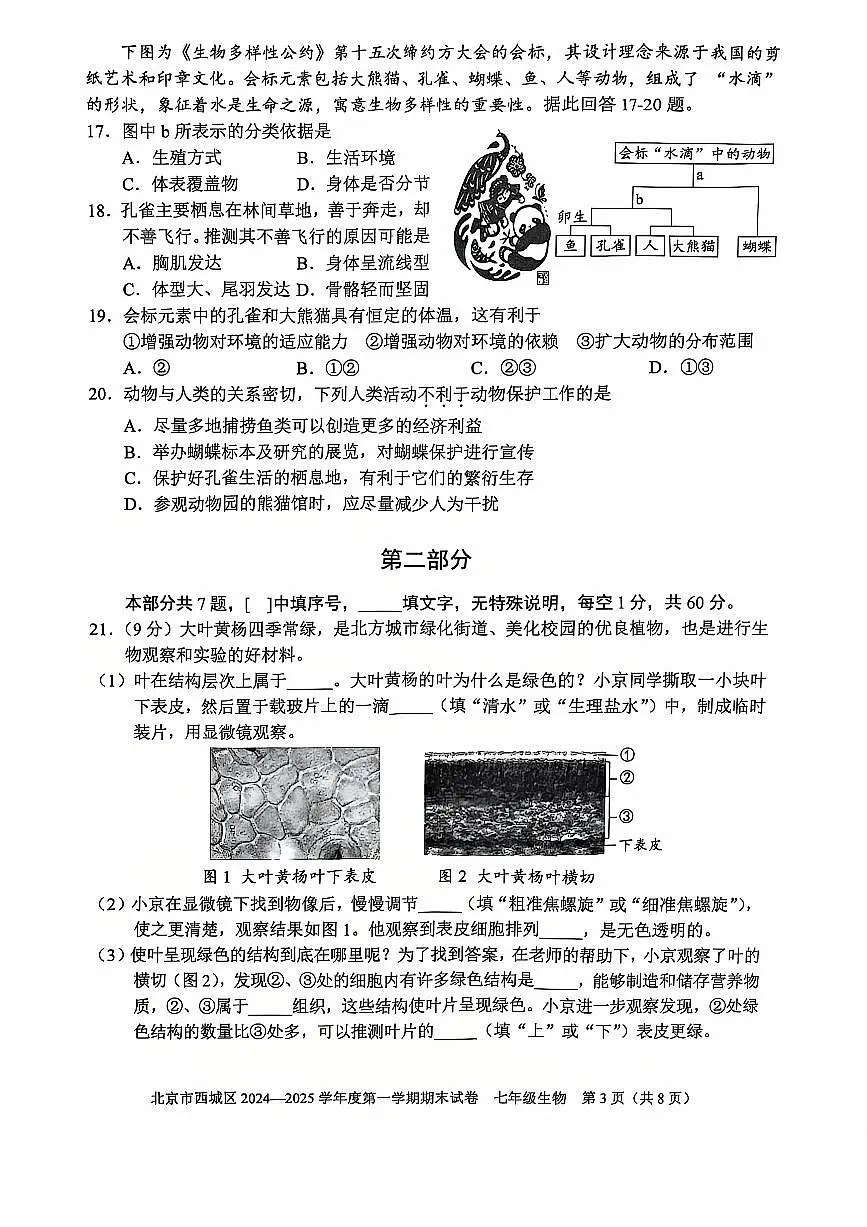 2025北京西城初一(上)期末生物试卷(有答案)第3页