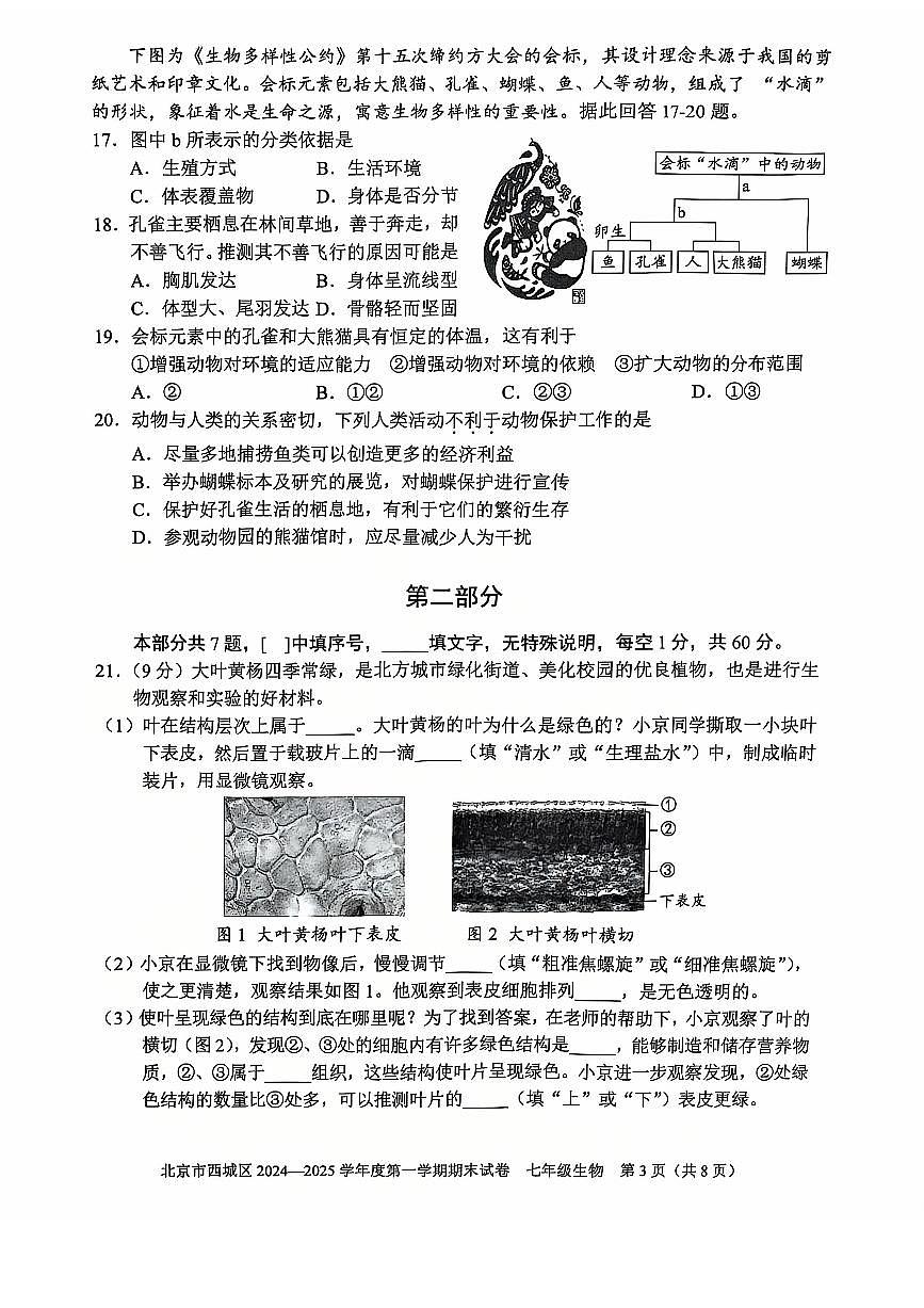 2025北京西城初一(上)期末生物试卷(有答案)第3页