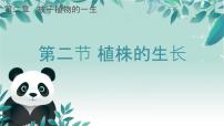 人教版(2024)七年级下册(2024)第二节 植株的生长优秀课件ppt