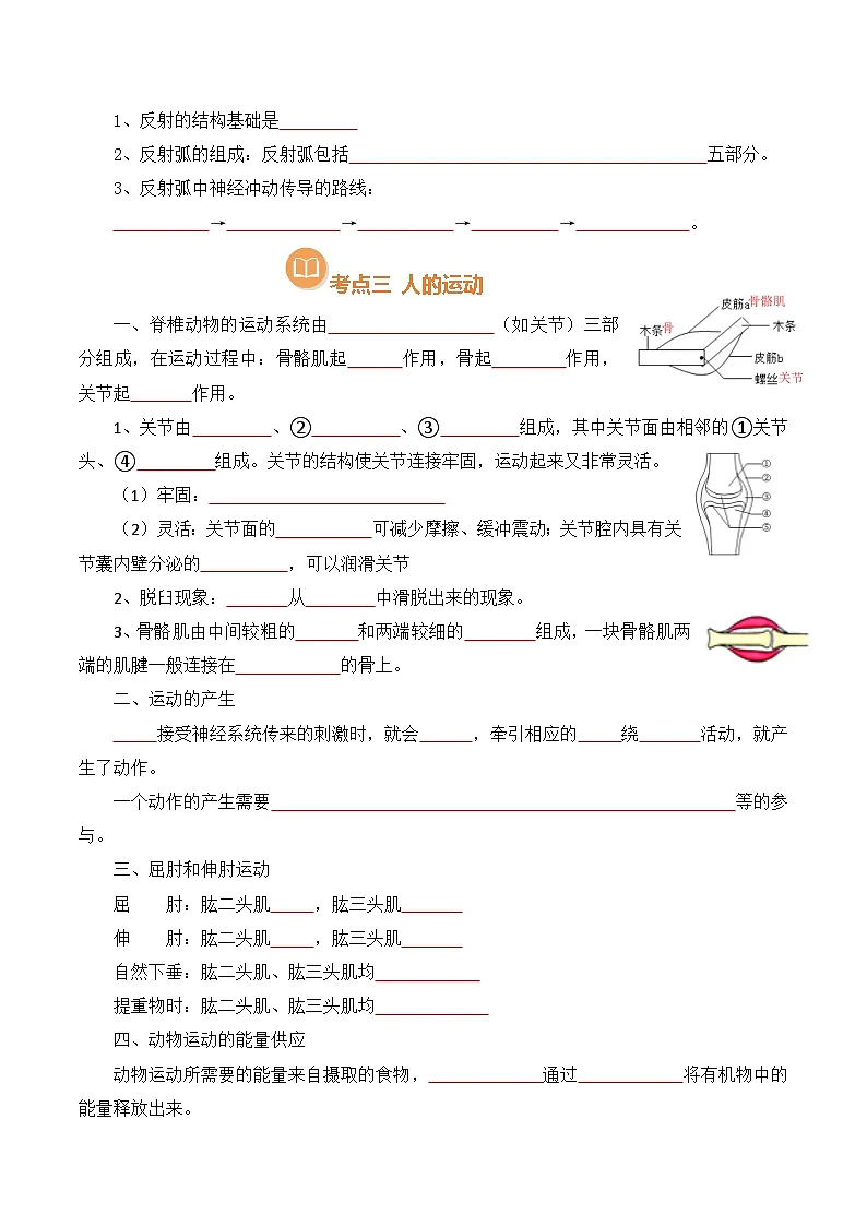 清单13 人体生命活动的调节(原版卷)第3页