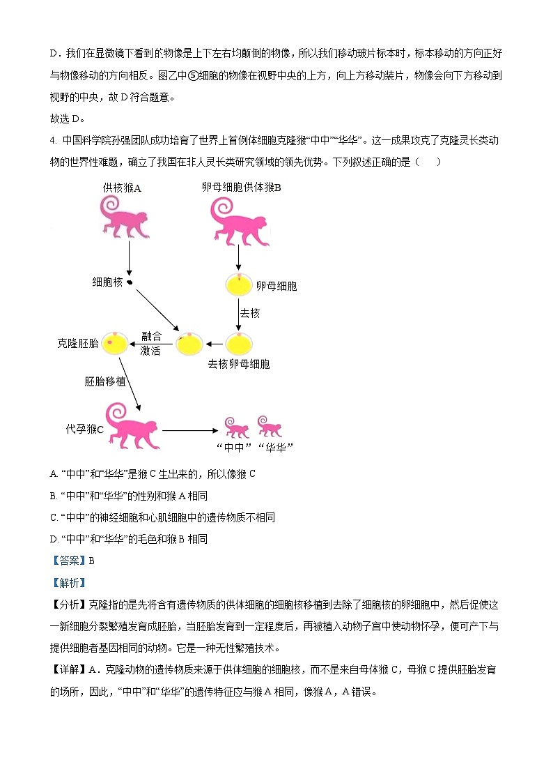 安徽省合肥市肥西县2024-2025学年七年级上学期期末生物试题(解析版)第3页