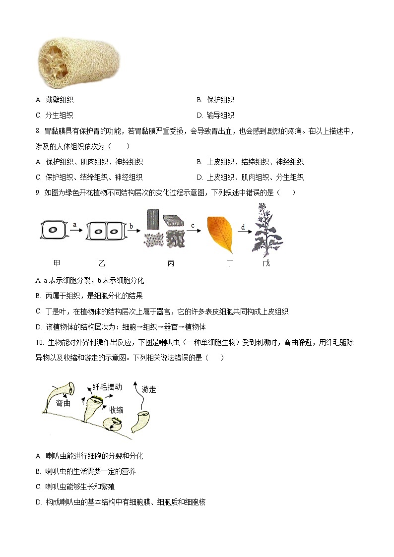 安徽省合肥市肥西县2024-2025学年七年级上学期期末生物试题(原卷版)第3页
